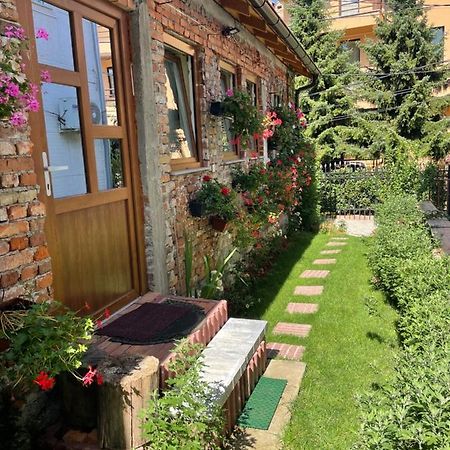 Flower House In The City Center! Prisztina Zewnętrze zdjęcie