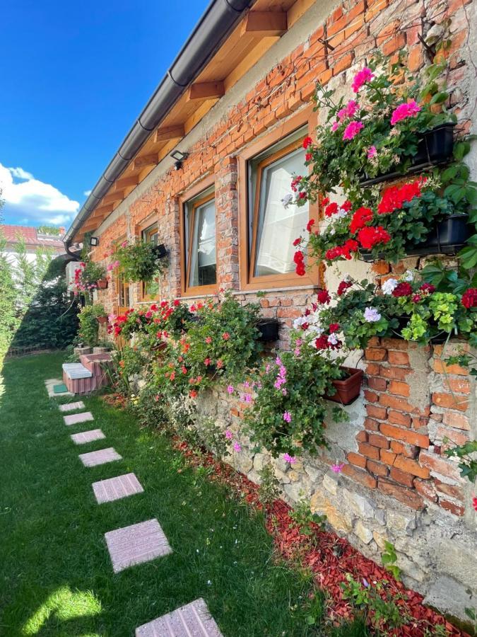 Flower House In The City Center! Prisztina Zewnętrze zdjęcie